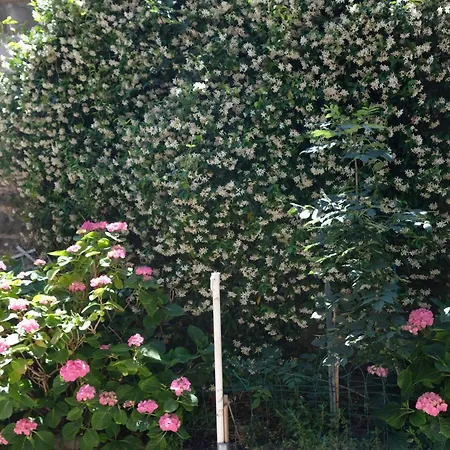 Appennino Via Roma 66 蒙泰克雷托