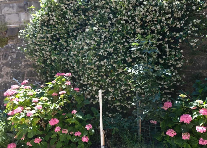 Appennino Via Roma 66 Montecreto