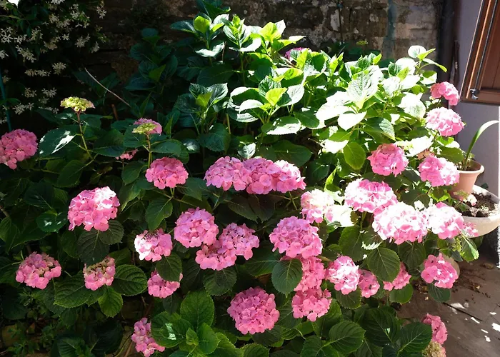 Appennino Via Roma 66 Apartamento *