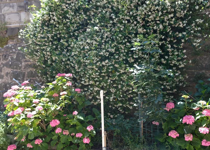 Appennino Via Roma 66 Montecreto